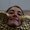 Photo of Adeline D.
