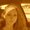 Photo of LaRae R.