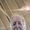 Photo of andrew h.