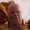 Photo of Thanos T.