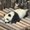 Photo of Zhaosheng Z.