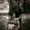 Photo of Jamie T.