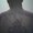 Photo of Kaseem B.