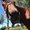 Photo of Cowgirl C.