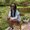 Photo of Nyla M.