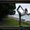 Photo of Sara H.