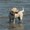 Photo of Martie B.