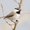 Photo of Nicholas K.