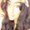 Photo of Annahi A.