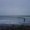 Photo of A L.