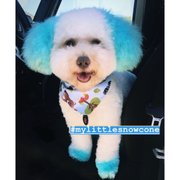 google avatar