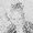 Photo of Ellie R.