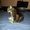 Photo of Marlisa P.