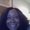 Photo of Cynthia S.
