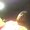 Photo of Dardo A.