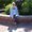 Photo of Donna T.