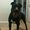 Photo of Bailey's M.