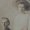 Photo of Roni F.