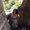 Photo of Paola L L.