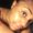 Photo of Kibriyaa L.