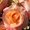 Photo of Caitie K.