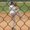 Photo of Ken C.