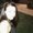 Photo of Deanna L.