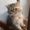 Photo of Josselyn R.