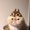 Photo of Kerrie F.