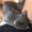 Photo of Kat L.