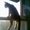Photo of Aleta L.