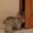 Photo of Tiziana A.