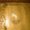 Photo of Dont B.