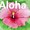 Photo of aloha-ellen m.