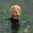 Photo of Kathy S.