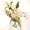 Photo of Taylor T.