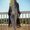 Photo of Nazish H.