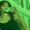 Photo of Alisia C.