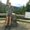 Photo of Cherie B.