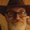 Photo of Walt B.