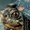 Photo of Tortuga T.