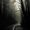 Photo of Andrew K.