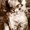 Photo of Stacy A.