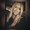 Photo of Ashlie L.