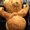 Photo of S. K.