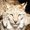 Photo of Qype User (walter…)