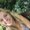 Photo of Liz F.