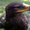 Photo of Qype User (ludmil…)