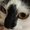 Photo of Tomoko W.