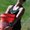 Photo of Sheree R.
